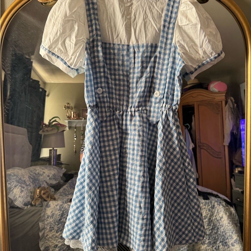 Dorothy Blue Gingham Pinafore Dress costume with wig - Picture 3 of 9
